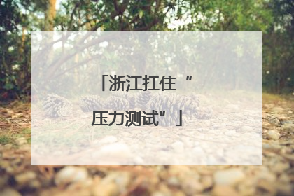 浙江扛住“压力测试”