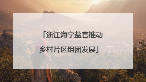 浙江海宁盐官推动乡村片区组团发展
