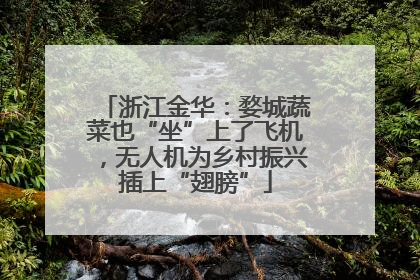 浙江金华：婺城蔬菜也“坐”上了飞机，无人机为乡村振兴插上“翅膀”