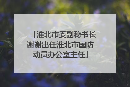 淮北市委副秘书长谢谢出任淮北市国防动员办公室主任