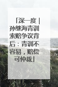 深一度｜孙继海青训索赔争议背后：青训不容易，赔偿可仲裁