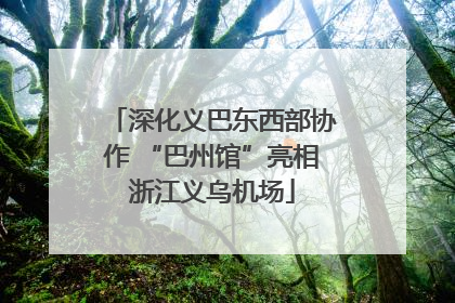 深化义巴东西部协作 “巴州馆”亮相浙江义乌机场