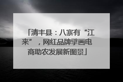 清丰县：八寨有“江来”，网红品牌擘画电商助农发展新图景