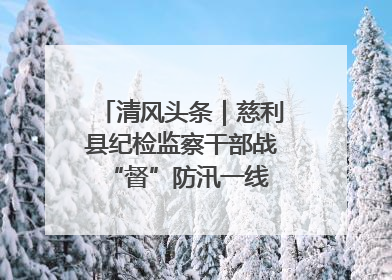 清风头条｜慈利县纪检监察干部战“督”防汛一线 守护群众利益
