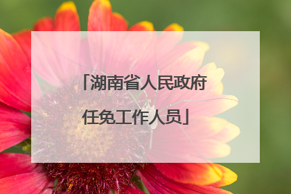 湖南省人民政府任免工作人员