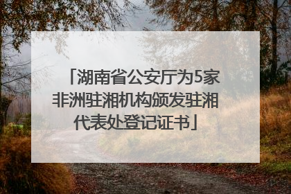 湖南省公安厅为5家非洲驻湘机构颁发驻湘代表处登记证书
