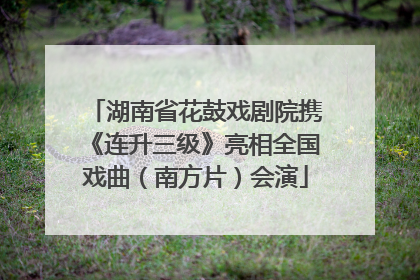 湖南省花鼓戏剧院携《连升三级》亮相全国戏曲（南方片）会演