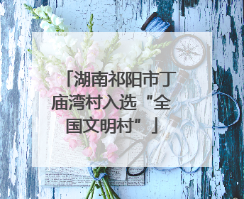 湖南祁阳市丁庙湾村入选“全国文明村”