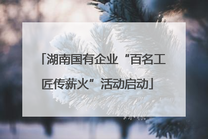 湖南国有企业“百名工匠传薪火”活动启动