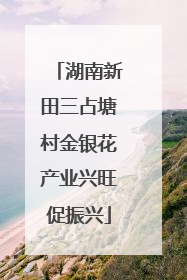 湖南新田三占塘村金银花产业兴旺促振兴