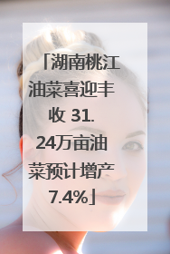 湖南桃江油菜喜迎丰收 31.24万亩油菜预计增产7.4%