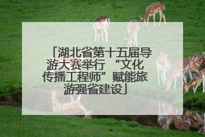 湖北省第十五届导游大赛举行 “文化传播工程师”赋能旅游强省建设