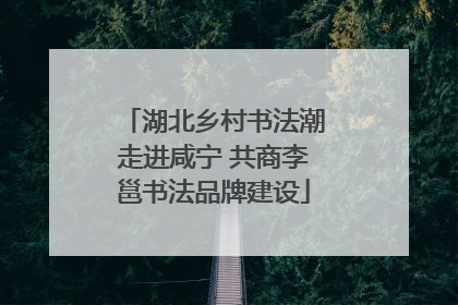 湖北乡村书法潮走进咸宁 共商李邕书法品牌建设