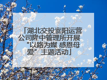 湖北交投襄阳运营公司隆中管理所开展“以路为媒 感恩母爱”主题活动