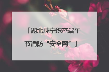 湖北咸宁织密端午节消防“安全网”
