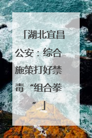 湖北宜昌公安：综合施策打好禁毒“组合拳”
