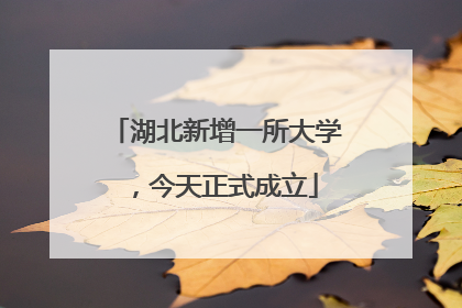 湖北新增一所大学，今天正式成立