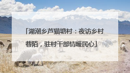 湖潮乡芦猫塘村：夜访乡村巷陌，驻村干部情暖民心