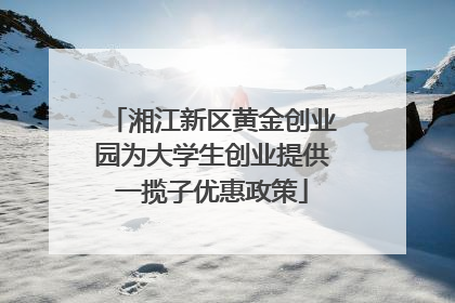 湘江新区黄金创业园为大学生创业提供一揽子优惠政策