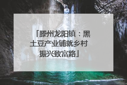滕州龙阳镇：黑土豆产业铺就乡村振兴致富路