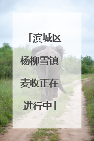 滨城区杨柳雪镇麦收正在进行中
