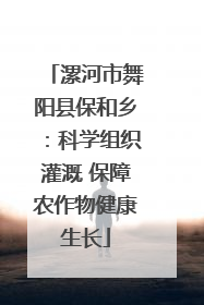 漯河市舞阳县保和乡：科学组织灌溉 保障农作物健康生长