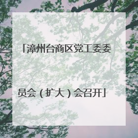 漳州台商区党工委委员会（扩大）会召开