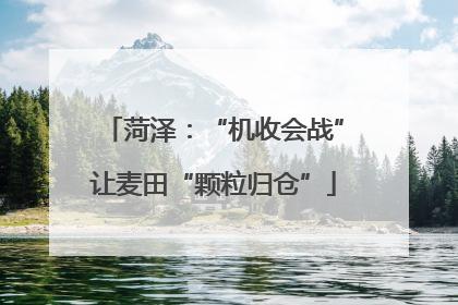 菏泽：“机收会战”让麦田“颗粒归仓”