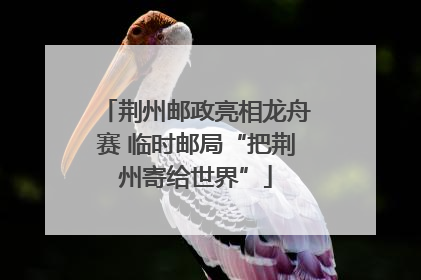 荆州邮政亮相龙舟赛 临时邮局“把荆州寄给世界”