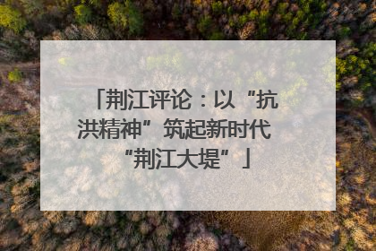荆江评论：以“抗洪精神”筑起新时代“荆江大堤”