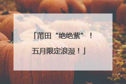 莆田“绝绝紫”！五月限定浪漫！