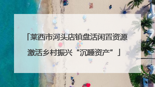 莱西市河头店镇盘活闲置资源 激活乡村振兴“沉睡资产”