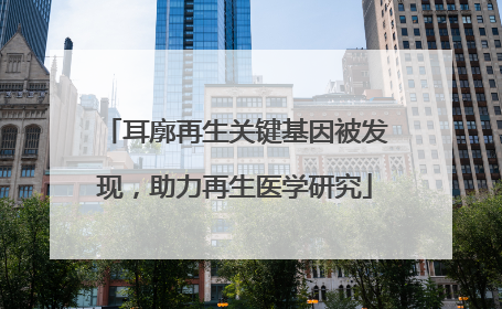 耳廓再生关键基因被发现，助力再生医学研究