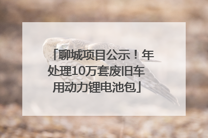 聊城项目公示！年处理10万套废旧车用动力锂电池包