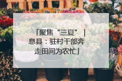 聚焦“三夏”｜息县：驻村干部奔走田间为农忙