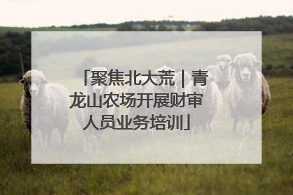 聚焦北大荒｜青龙山农场开展财审人员业务培训