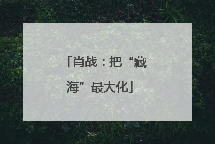 肖战：把“藏海”最大化