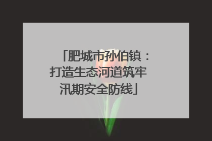 肥城市孙伯镇：打造生态河道筑牢汛期安全防线
