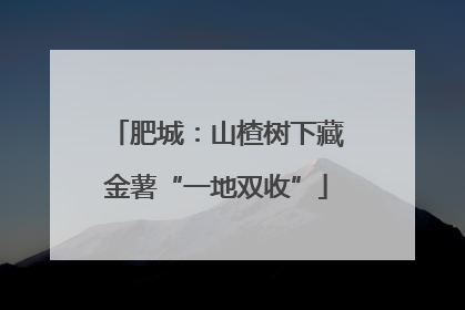 肥城：山楂树下藏金薯“一地双收”