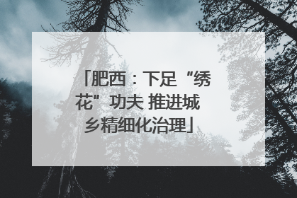 肥西：下足“绣花”功夫 推进城乡精细化治理