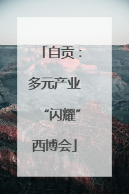 自贡：多元产业“闪耀”西博会