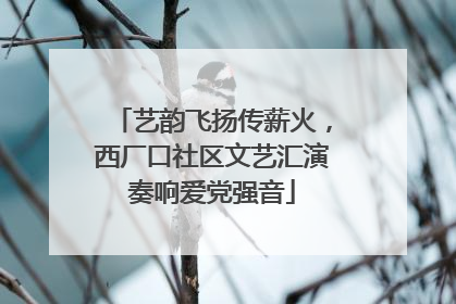 艺韵飞扬传薪火，西厂口社区文艺汇演奏响爱党强音