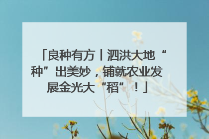 良种有方丨泗洪大地“种”出美妙，铺就农业发展金光大“稻”！