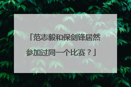 范志毅和保剑锋居然参加过同一个比赛？