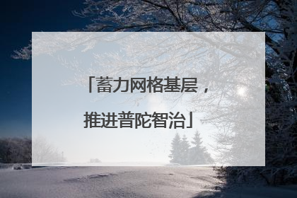 蓄力网格基层，推进普陀智治