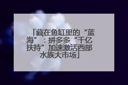 藏在鱼缸里的“蓝海”：拼多多“千亿扶持”加速激活西部水族大市场