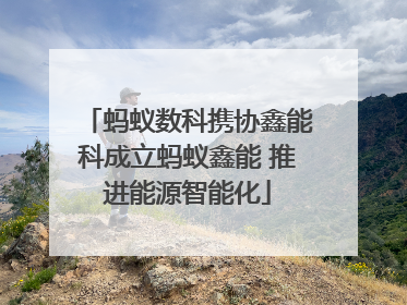 蚂蚁数科携协鑫能科成立蚂蚁鑫能 推进能源智能化