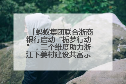 蚂蚁集团联合浙商银行启动“栀梦行动”，三个维度助力浙江下姜村建设共富示范区示范点