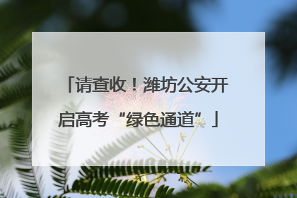 请查收！潍坊公安开启高考“绿色通道”