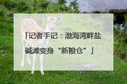 记者手记：渤海湾畔盐碱滩变身“新粮仓”